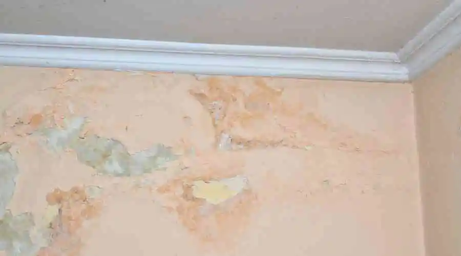 What does stucco moisture damage look like?